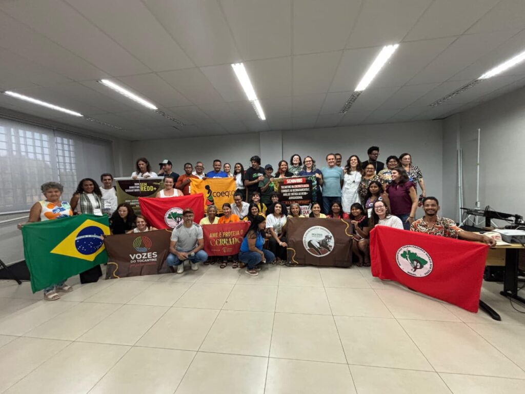 Movimentos sociais pedem suspensão do REDD+ no Tocantins diante do avanço do desmatamento