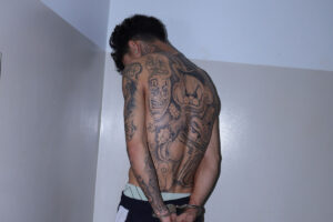 Polícia Civil apreende drogas e munição durante operação em Palmas