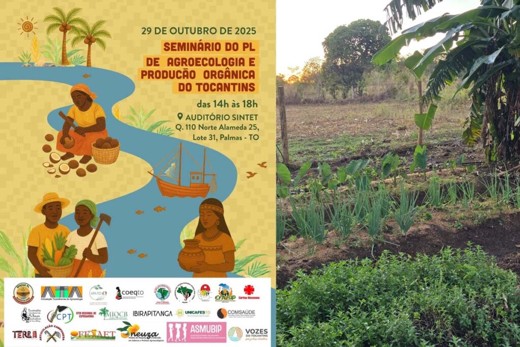 Seminário debate criação da Política de Agroecologia e Produção Orgânica do Tocantins