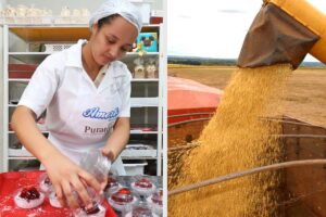 Economia do Tocantins tem expansão robusta