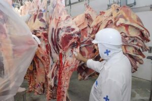 PIB do Tocantins cresce R$ 6,1 bilhões e estado avança em ranking nacional, segundo IBGE