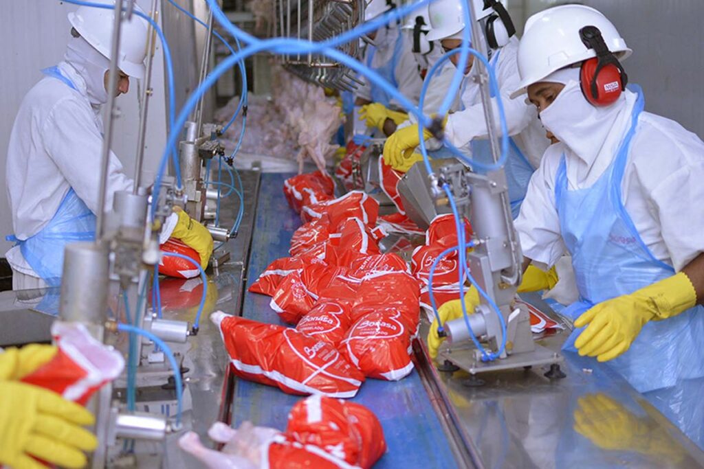 Tocantins registra 7,9% de crescimento e tem 2º melhor desempenho econômico do país em 2023