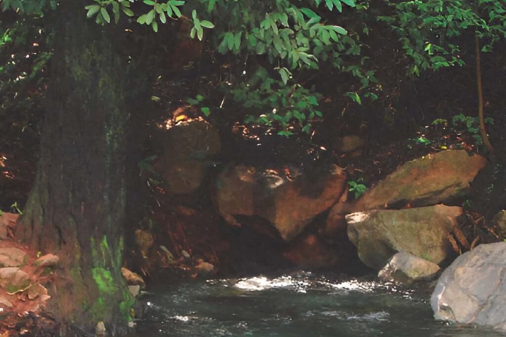 Justiça obriga Aurora do Tocantins e Naturatins a recuperar áreas degradadas nos Rios Azuis