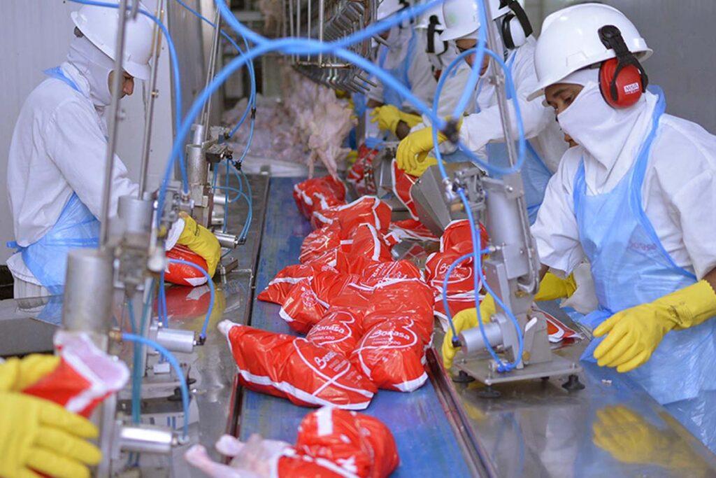 Tocantins bate recorde histórico com mais de 31 mil novas empresas em 2025