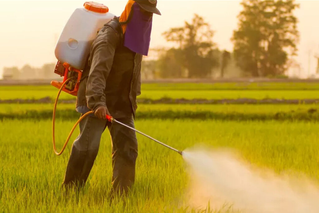 Apenas 7 municípios do Tocantins monitoram oficialmente exposição a agrotóxicos