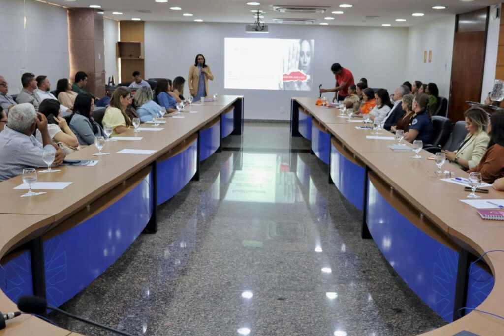 Reunião emergencial define ações para enfrentar violência contra mulheres no Tocantins