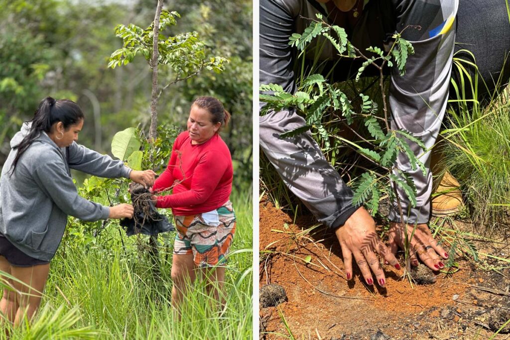 Mulheres indígenas Akwê Xerente durante ação de plantio de mudas e educação ambiental em aldeia de Tocantínia.