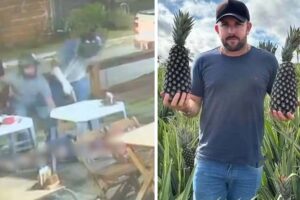 Rivalidade no mercado do abacaxi: fazendeiro é preso suspeito de mandar matar empresário