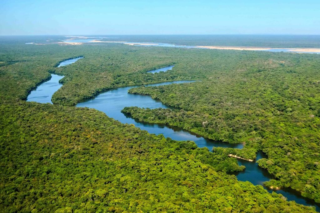 Tocantins terá dois projetos de restauração florestal que vão recuperar mais de 500 hectares na APA Ilha do Bananal/Cantão
